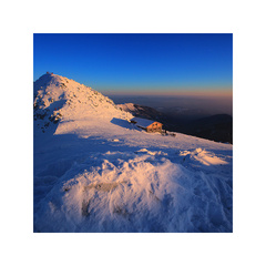 ...chopkovica večerná...