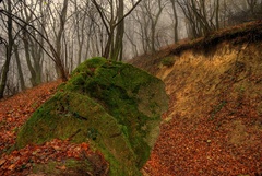 Pod lesom