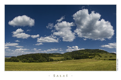 Salaš