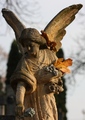 angel 01
