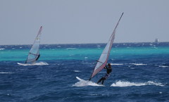 Wind & Sea