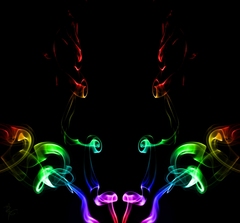 Bull
