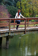 bridge