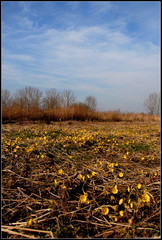 Už konečne prišla...