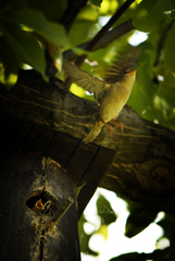 ,,O chvíľu som s5 !!!