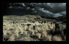Volubilis