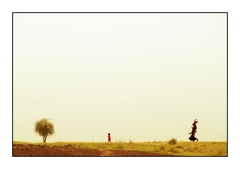 Thar Desert