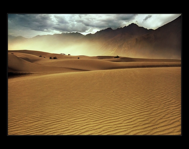 Nubra Valley