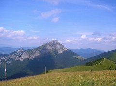 Rozsutec