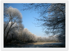 31. december a iba mrzlo