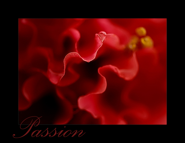 Passion