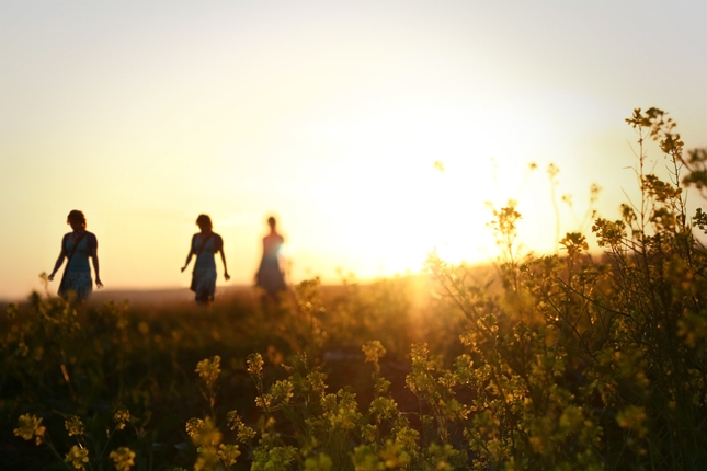 journey - homecoming