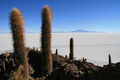 Salar de uyuni