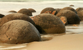 Moreaki Boulders