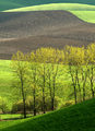 Zvlnena krajina