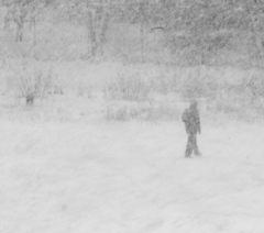 boli take casy.... 1.