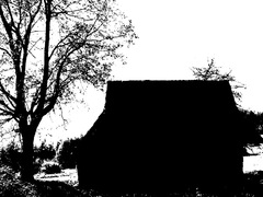 Na samote,u lesa.....