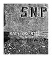 SNP...