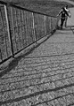 veci obycajne....II.