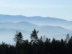 tajomno