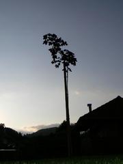 Zahradka