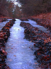 kamkolaje