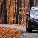 VW Autumn