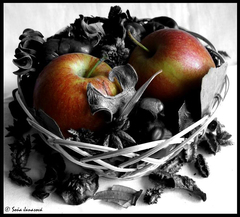 apple