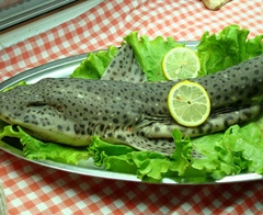 ...kto by si trúfol....