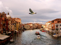 Venezia