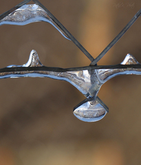 ...V zajatí ľadu...