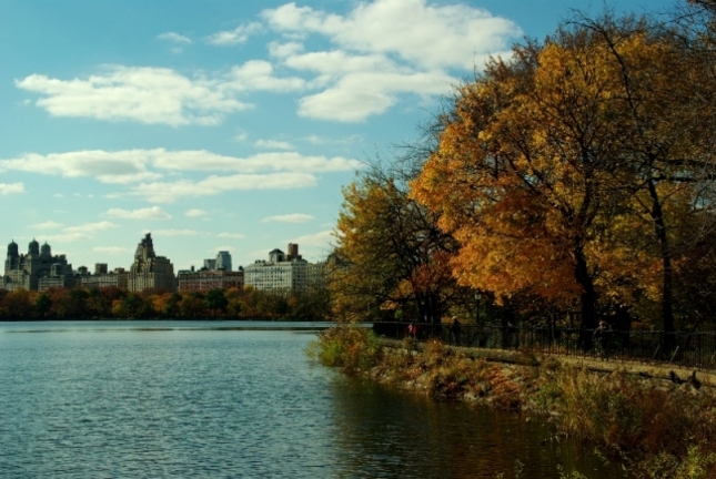 Central Park 1