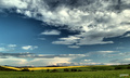 After the rain 08
