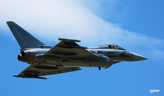 Free as a bird I rule the sky!