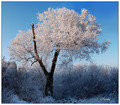 Snowa krajina 2