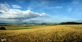 Šarišská panoráma 02