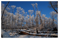 Snowa krajina 1