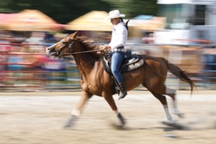 panning