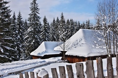 Učupené