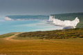 SEVEN  SISTERS