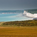 SEVEN  SISTERS