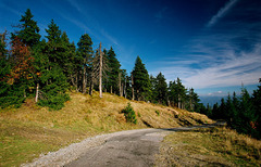 MARTINSKÉ HOLE
