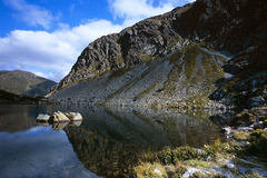 OSAMELÁ