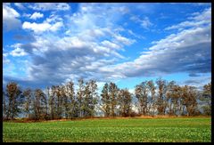 Windows XP 2010