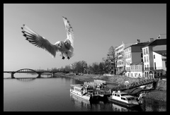 Welcome to Piešťany