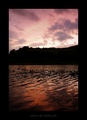 ...before the darkness...