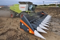 Lexion