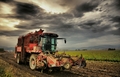 Holmer