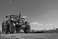 Zetor