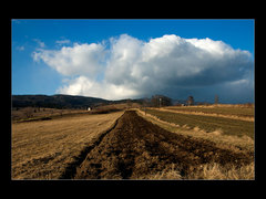 Roľa